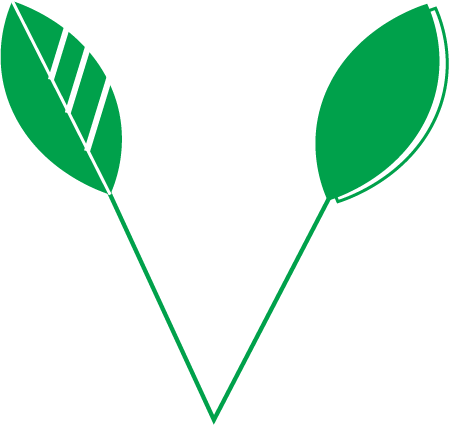 100% Eggless Logo